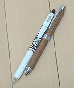 Item thumbnail for item e73e4e83-541d-4a9d-8a36-727dc2112a3e