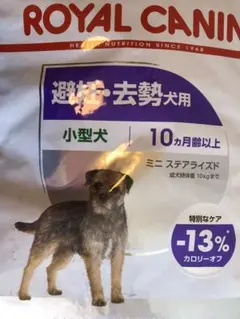 5月30日発送 ロイヤルカナン ミニステアライズド8kg×2 2025年最新】ロイヤルカナンミニステアライズド8kgの人気アイテム