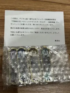 鬼滅の刃 定期購読者限定 【300個限定/非売品】　アクリルキーホルダー 鬼殺隊