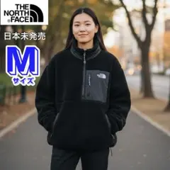 2025年最新】ノースフェイス ハーフジップ ナイロンの人気