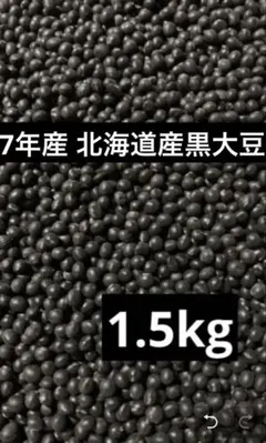 き*ん様 オークション限定 7年産 北海道産 黒大豆10kg 7年産・北海道産黒豆1.5kg - メルカリ