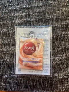 【レア物　非売品】アイスの実　キーホルダー