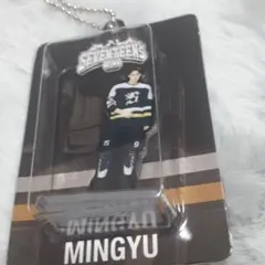 SEVENTEEN MINGYU ミンギュ アクリルキーリング HOME