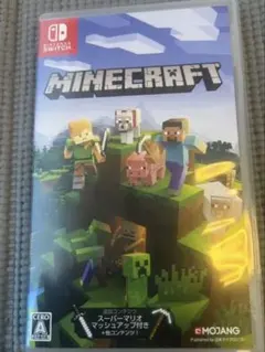 minecraft switch
