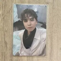 SECTOR17 バーノン トレカ