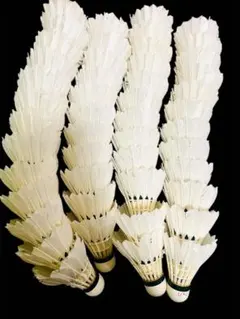 Item thumbnail for item f3f82abb-1035-4e27-a6e8-8b27731390c0