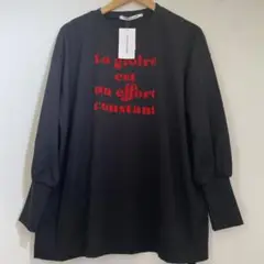 RAY CASSIN フロッキーロングTシャツ