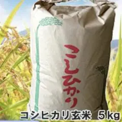 コシヒカリ 玄米 5kgのサムネイル