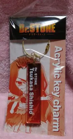 Dr. STONE アクリルキーチャーム 獅子王司