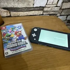 動作OK】Switch Liteグレー＆スーパーマリオブラザーズワンダー セット