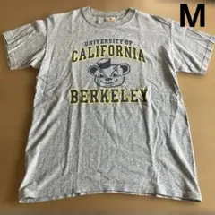 ☆*☆様 Goodwear USA製 M カリフォルニア大学バークレー T