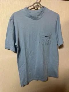 patagonia ライトブルー Tシャツ