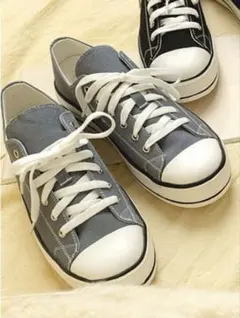 Item thumbnail for item 2b78e738-2b91-488d-a067-e5afc4a4a515