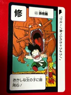 45 孫悟飯 ドラゴンボールカードダス