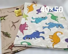 ２枚組☆恐竜柄ランチョンマット