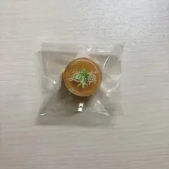 あんスタ スタライ リングライト 遊木真