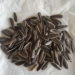 ゆうちゃこちゃん様 リクエスト 2点 まとめ商品