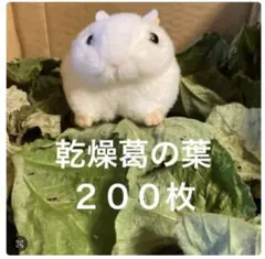 Item thumbnail for item fc537baf-ec62-43e9-8026-95cba10dcaf0