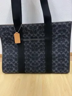 Item thumbnail for item 0d68ad25-7ba9-4f58-af17-317fa19a91d7