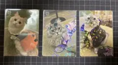 専用 猫カフェmochaトレカ