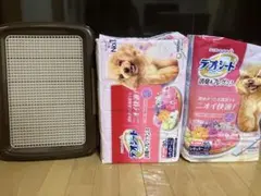 Item thumbnail for item ddc1980f-68b8-4683-b0ca-06acad3ba059