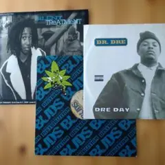 【Dr.Dre/Roots/Paula Perry】Hip Hopレコード3枚
