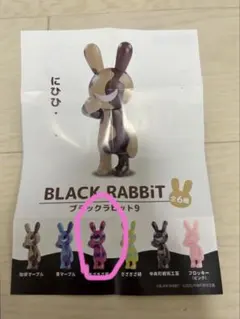 블랙 래빗 9 재기드 퍼플