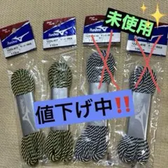 Item thumbnail for item d7a481ec-cf06-4a87-b912-bfaf3447e19f