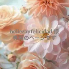 bellezayfelicidad 様　専用のページです☆ 3点