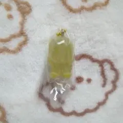 SKZOO グミチャーム ポガリ