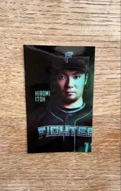 北海道日本ハムファイターズ　カード 伊藤大海選手　♯17