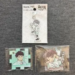 ハイキュー　及川徹　ぴた！でふぉめ　パズルアクリルキーホルダー　B-SIDE