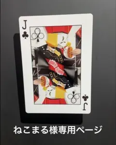 archive Y'SACCS ヨウジヤマモト　ショルダーバッグ　レオパードのサムネイル