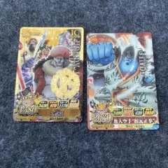 ワンピーベリーマッチic アイシー ホーディ・ジョーンズ GR グランド