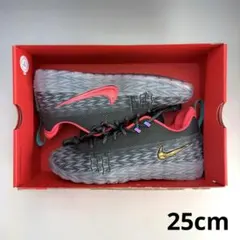 25.5cm ナイキ ストリート タフ チャージ 