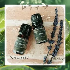 ドライブアロマ★ペパーミント5mlライム5ml★100％天然精油のサムネイル