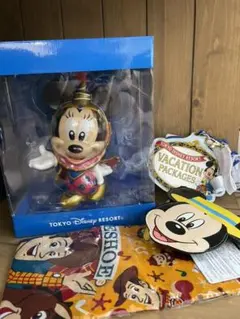 アブーズバザール　バケパ　ディズニーリゾート