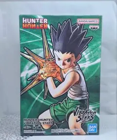 2026年最新】hunter×hunter ゴン フィギュア vibration starsの人気