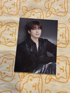 SEVENTEENトレカ ウォヌ