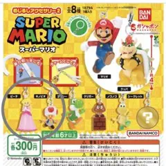 スーパーマリオ　めじるしアクセサリー2