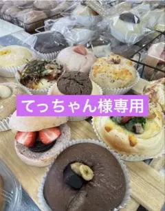 てっちゃん様専用