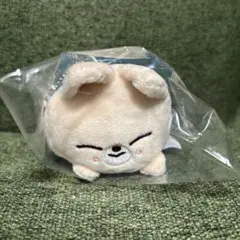 スキズ　ミニバッグチャーム　フォクシニー　アイエン