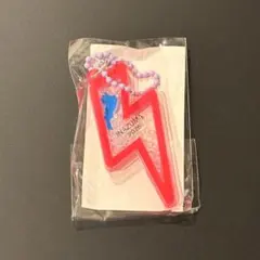 フェストイナズマ びわ湖キーホルダー 赤