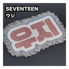 ウジ　SEVENTEEN セブチ　ネームボード　うちわ文字　ネムボ