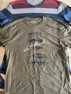 古着 ブランド大きめTシャツまとめ売り2L~4L 13枚セット