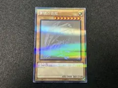遊戯王 青眼の白龍 20AP-JP000 ホロ - メルカリ