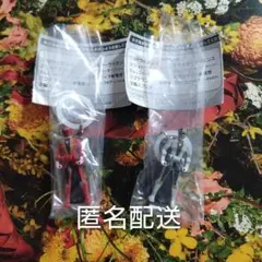 スーパー戦隊 めじるしアクセサリー レンジャーキー ゴーカイレッド シルバー