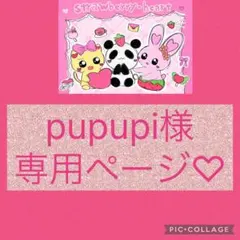 pupupi様専用ページ