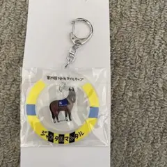 Baccaratバカラ　馬主　2022年　第27回NHKマイルカップ　出走記念品 2022年 NHKマイルカップ JRA