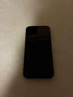 Apple iPhone 12mini ブラック 256GB 本体